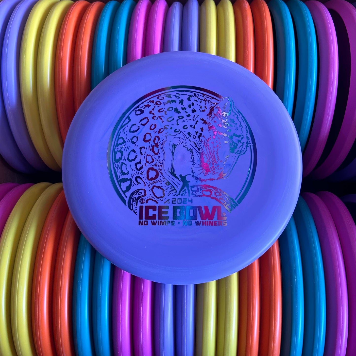 Discmania D-Line P2 Flex 2 - PREVIOUS YEAR - 2024