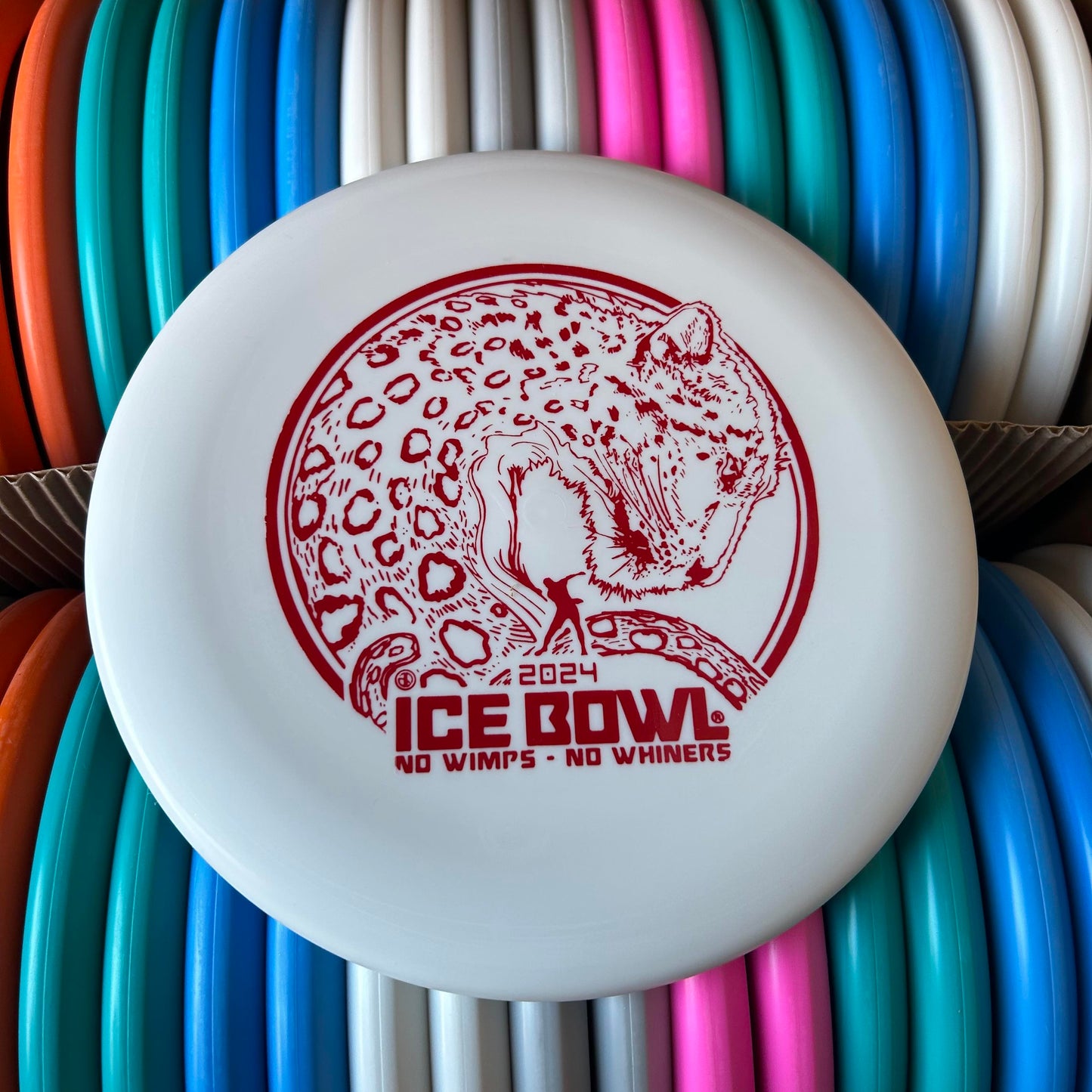 Discmania D-Line P2 Flex 1 - PREVIOUS YEAR - 2024